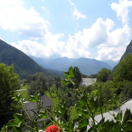 Apartma Cvetek, Srednja Vas 133 Bohinj Exterior foto