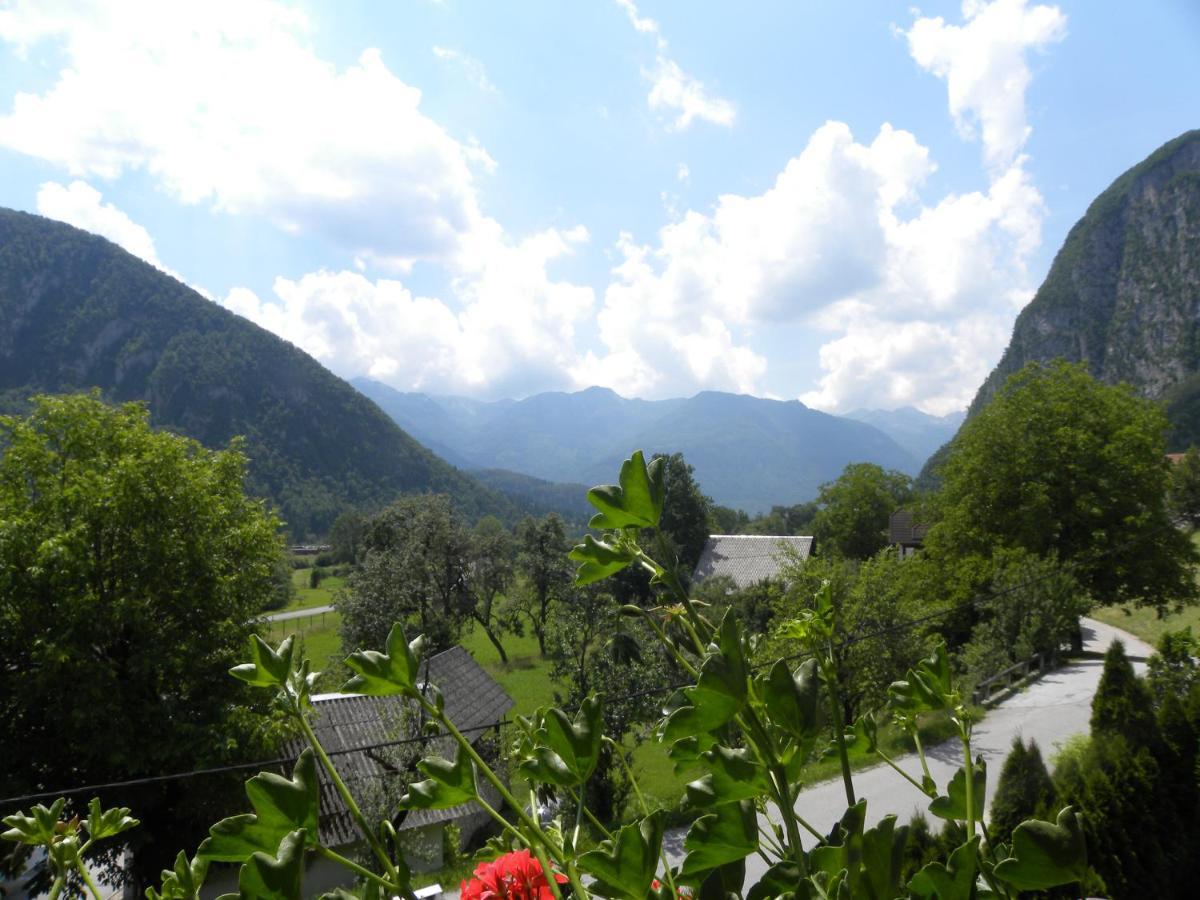 Apartma Cvetek, Srednja Vas 133 Bohinj Exterior foto
